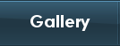 Checkout The Telfordaires Gallery